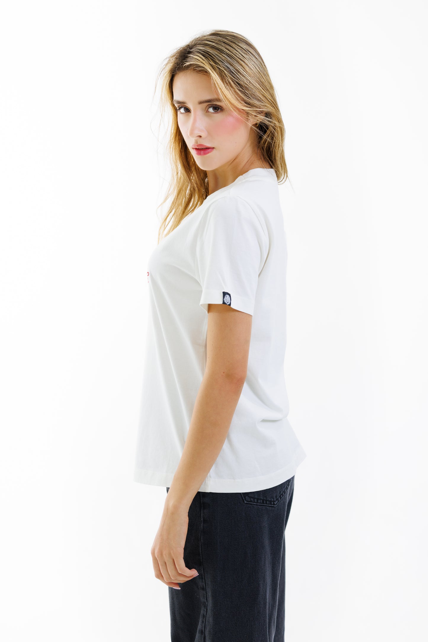 Camiseta 90210 - 180 gramos - Regular fit