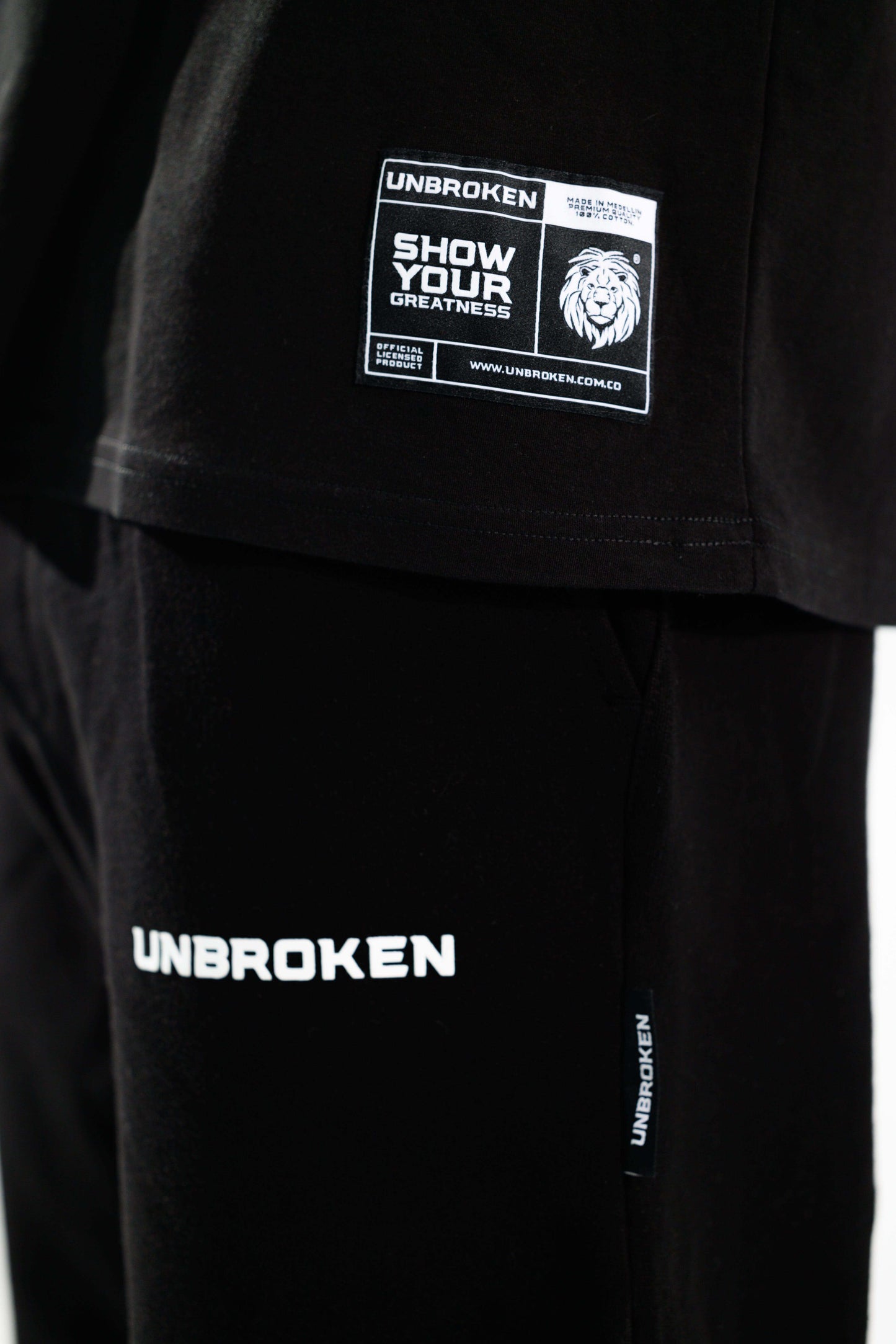 Camiseta Over Size 240 gramos Fénix - Renace en grandeza - Unbroken